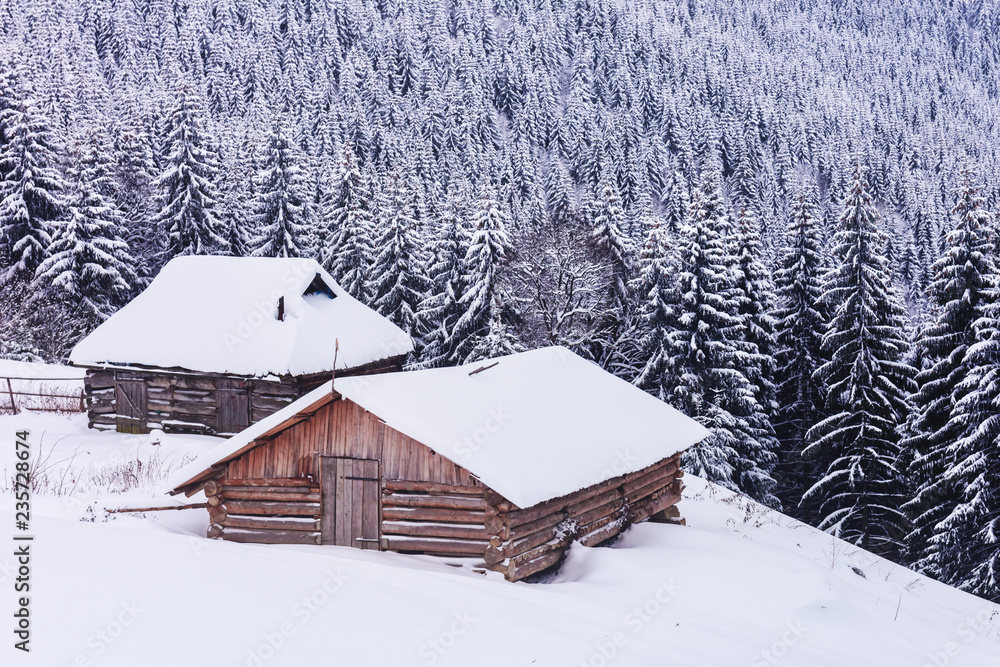 雪山木屋的奇妙冬季景观。圣诞假期概念。喀尔巴阡山