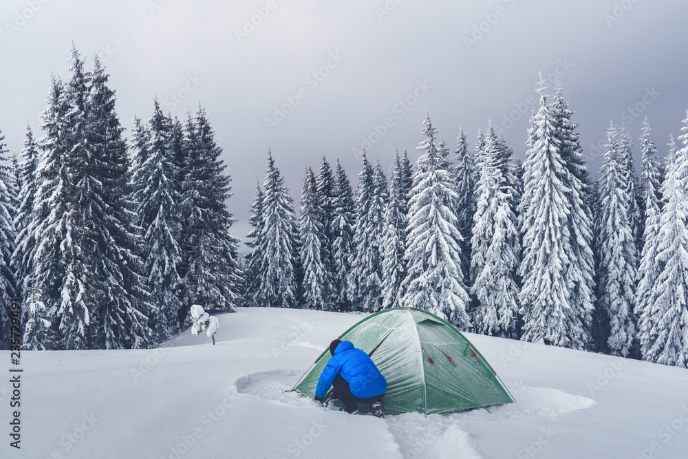 Green tent and tourist against the backdrop of snowy pine tree forest. Amazing winter landscape. Tou