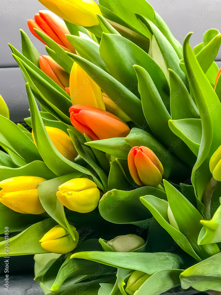 美丽的郁金香花朵组合躺在表面上。