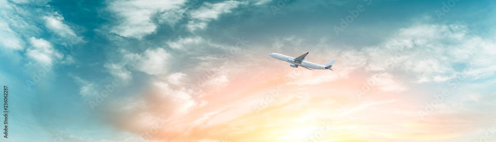 Airplane flying in the blue sky,panoramic view