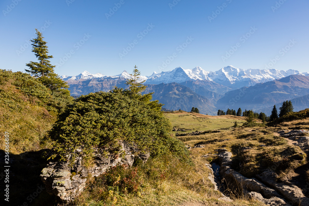 与Eiger，Moench一起，瑞士伯尔尼高地Niederhorn的秋季高山景观