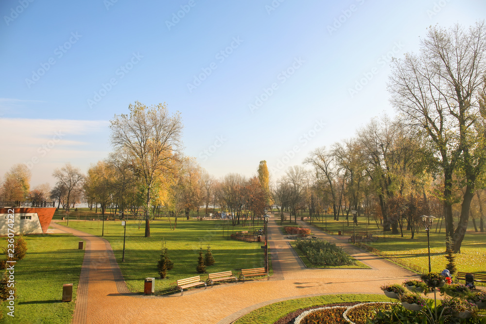 View of autumn park