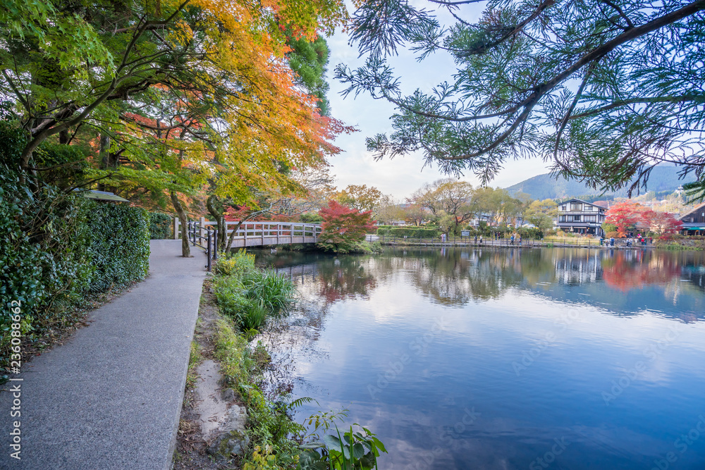 Yufuin Kinrinko, Japan, November 07, 2018: Beautiful red maple leaves at lake kinrinko, oita, Japan,