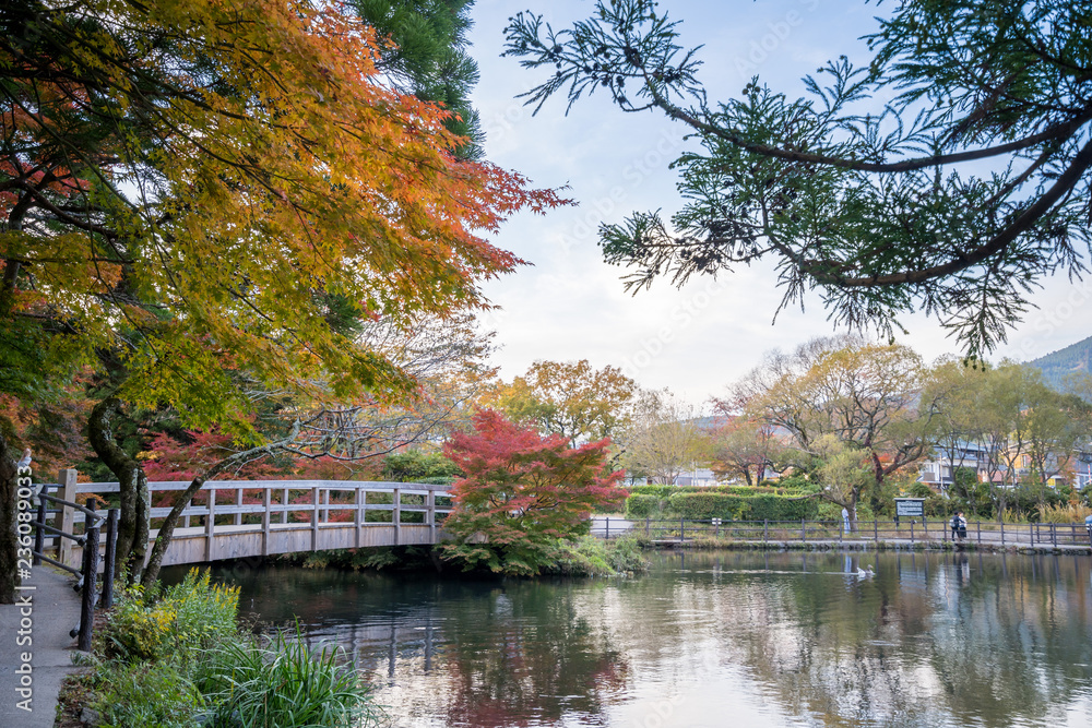 Yufuin Kinrinko，Japan，2018年11月7日：美丽的红色枫叶在日本尾田的金林湖，