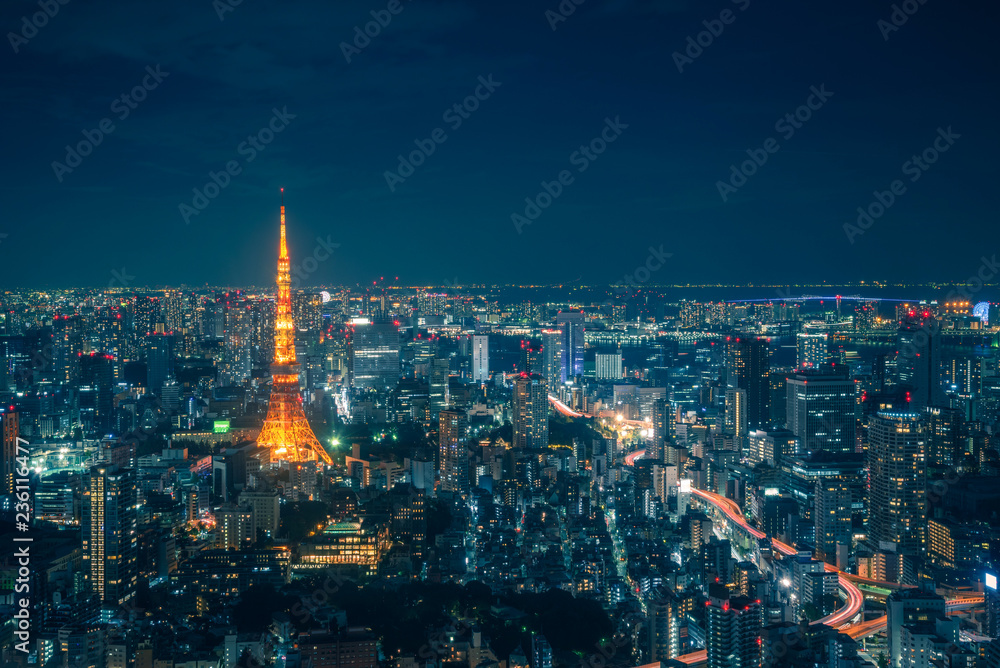 东京天际线和日本夜间观景台上摩天大楼的景色。