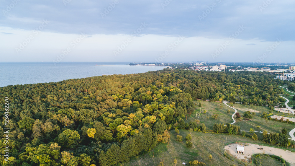 格但斯克波罗的海沿岸的森林海岸