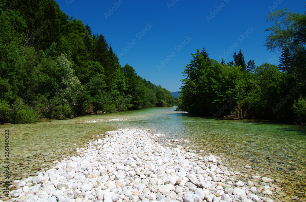 森林与河流