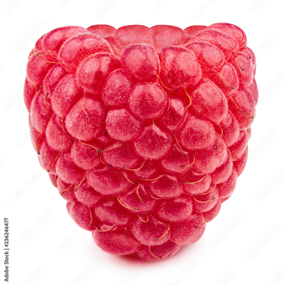 raspberries isolated on white