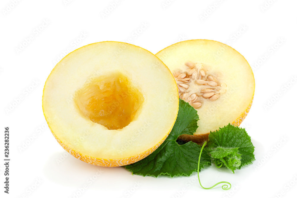 Melon on white background