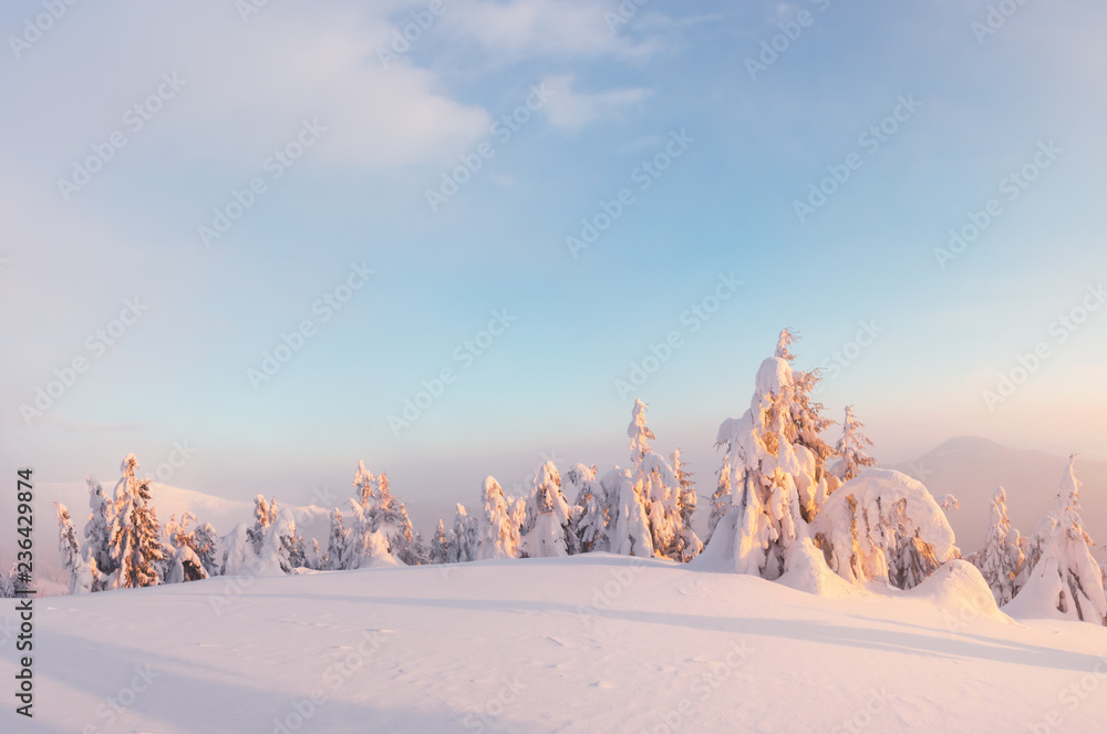 阳光照耀下的雪山中令人惊叹的橙色冬季景观。戏剧性的冬季场景
1819375311,素食。鹰嘴豆配黄瓜和玉米，玻璃覆盖。时尚的餐厅装饰。