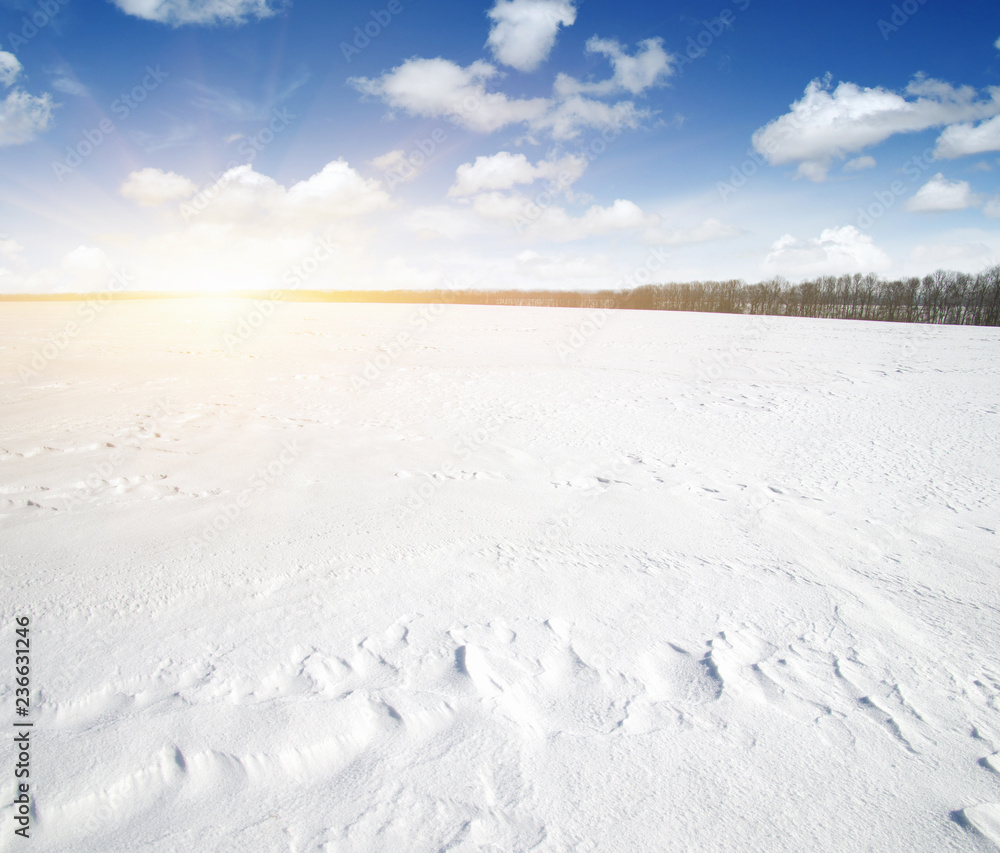 天空和阳光下白雪皑皑的田野。