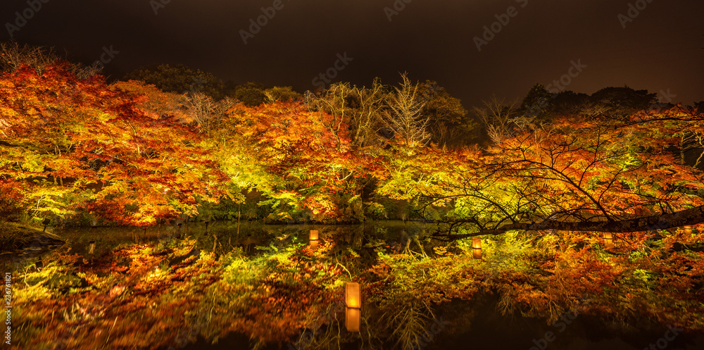 美丽的日本花园，名为Mifuneyama Rakuen，秋天的夜景，枫叶和湖泊