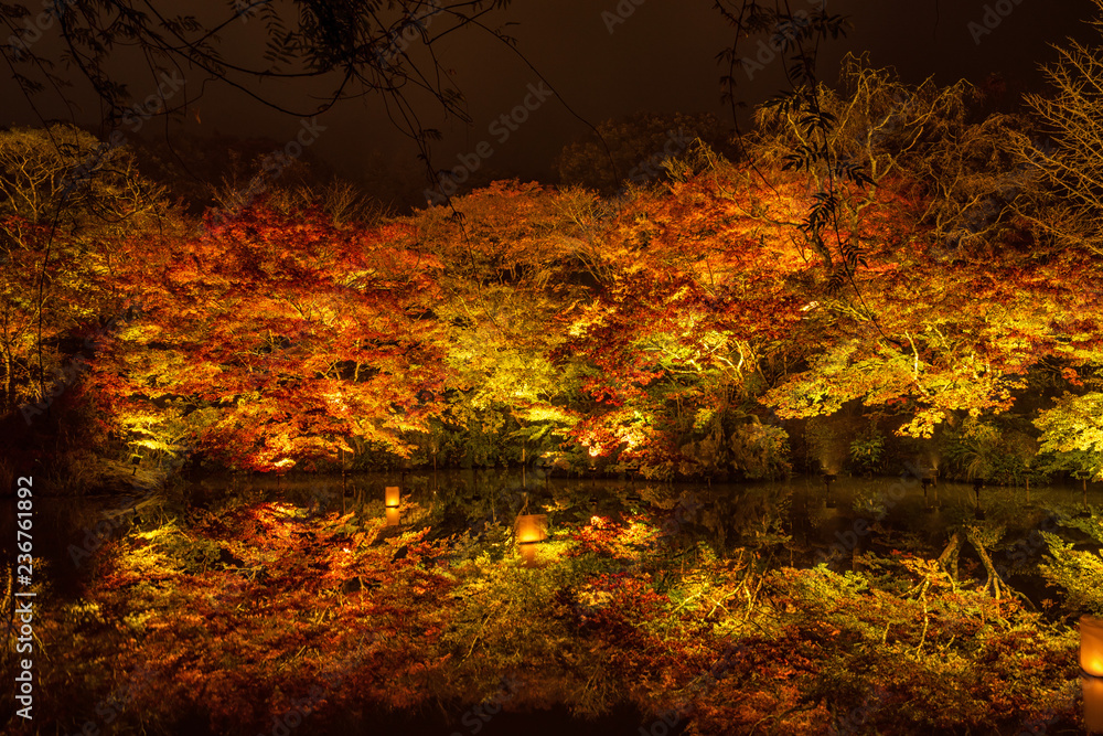 美丽的日本花园，名为Mifuneyama Rakuen，秋天的夜景，枫叶和湖泊