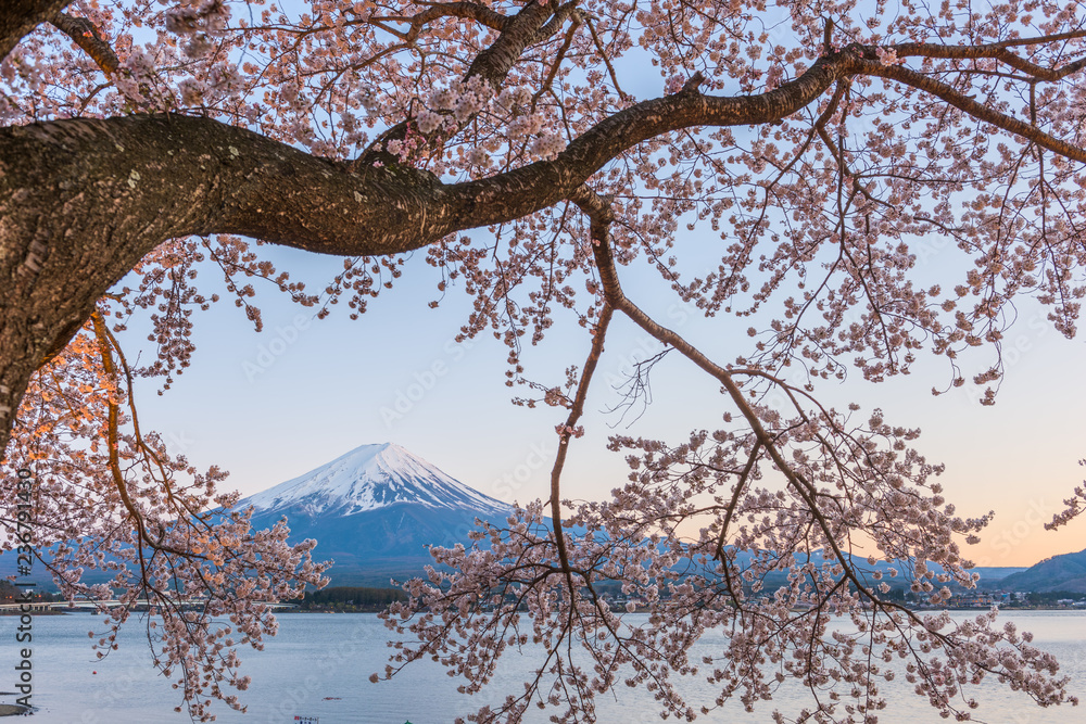 春晓富士山