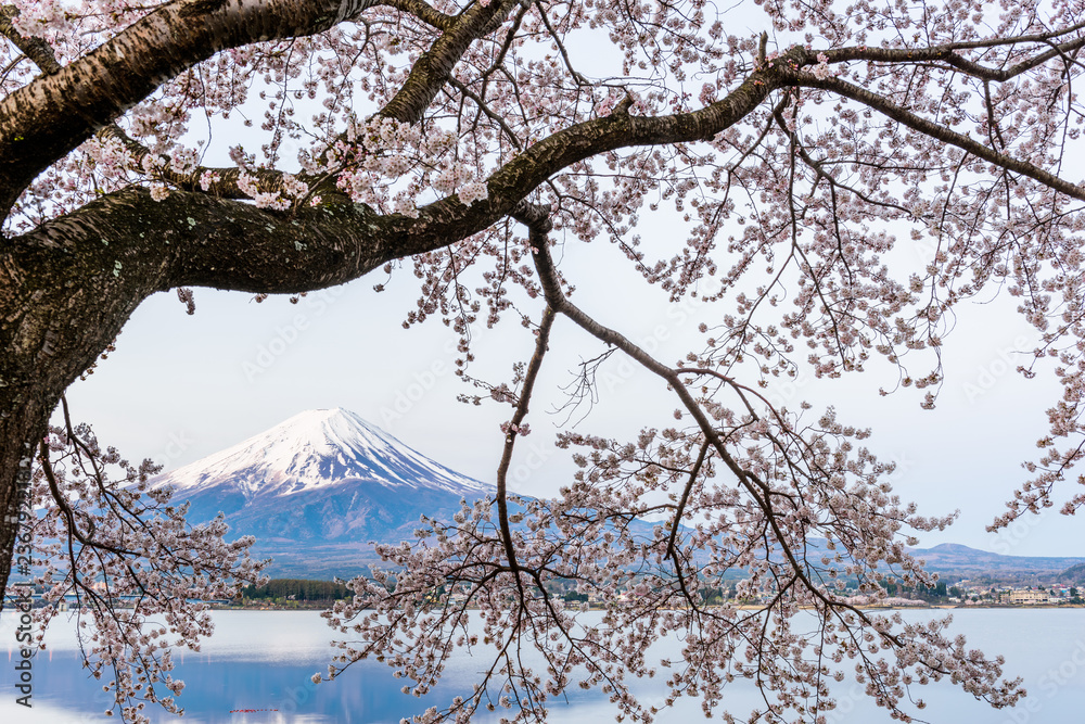 春晓富士山