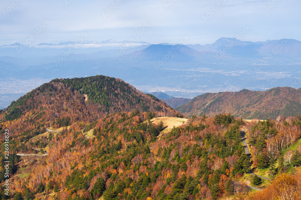 日本长野县山田温泉高村美丽的秋山。