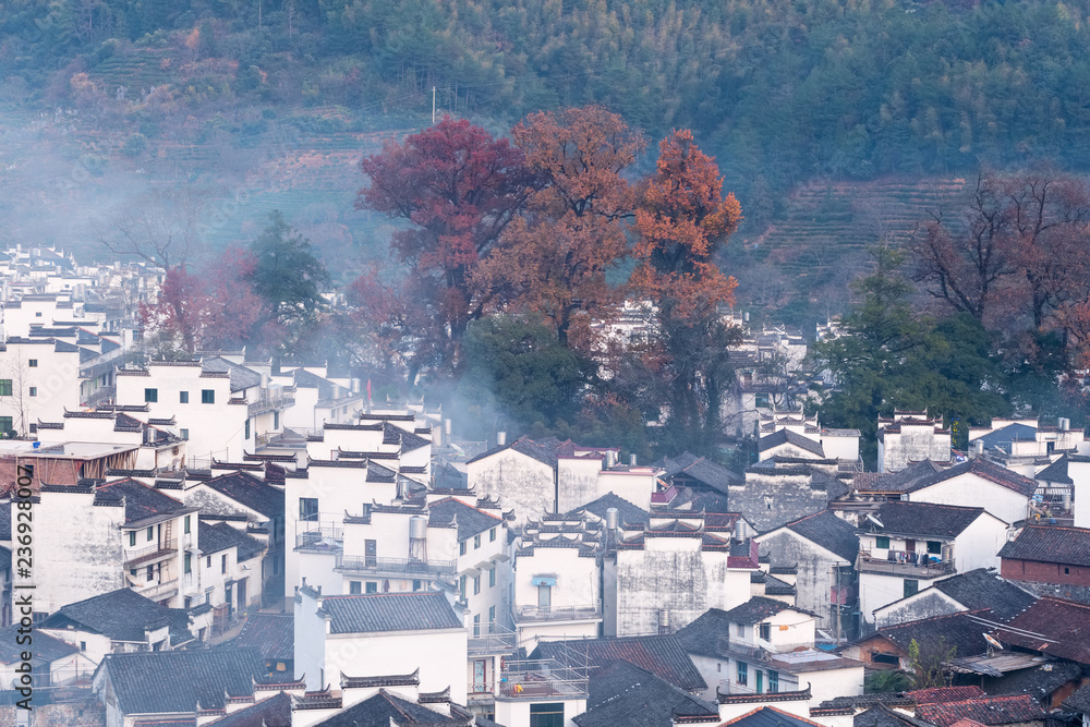 深秋美丽乡村