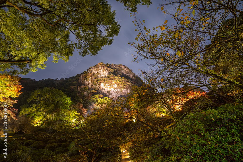 美丽的日本花园名为Mifuneyama Rakuen，秋天的夜景中有枫叶。