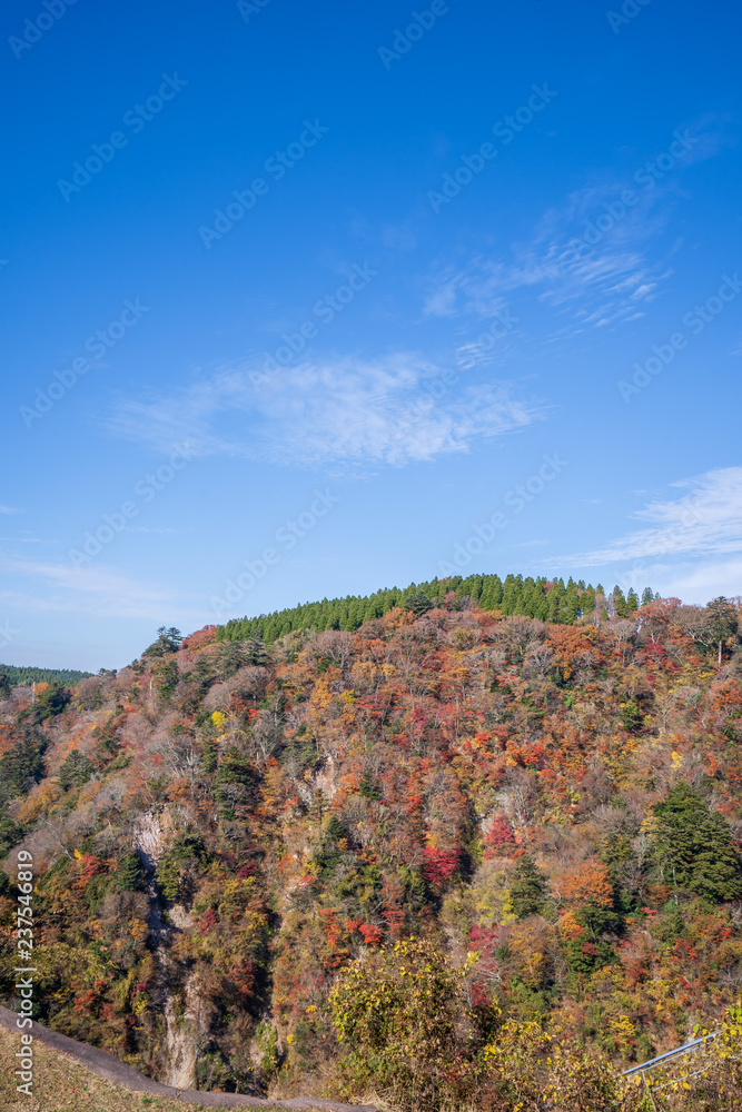 Kokonoe Yume悬索桥（大隅桥）周围的古居山（古居仁赞），最高的su