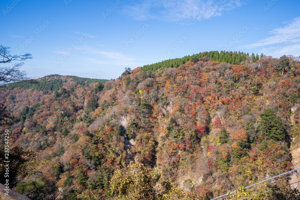 Kokonoe Yume悬索桥（大隅桥）周围的古居山（古居仁赞），最高的su