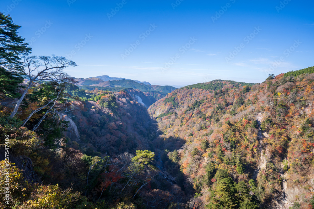 Kokonoe Yume悬索桥（大隅桥）周围的古居山（古居仁赞），最高的su