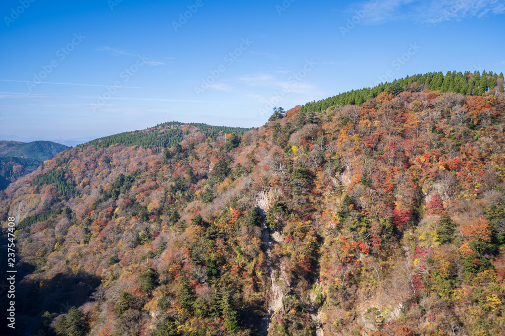 Kokonoe Yume悬索桥（大隅桥）周围的古居山（古居仁赞），最高的su