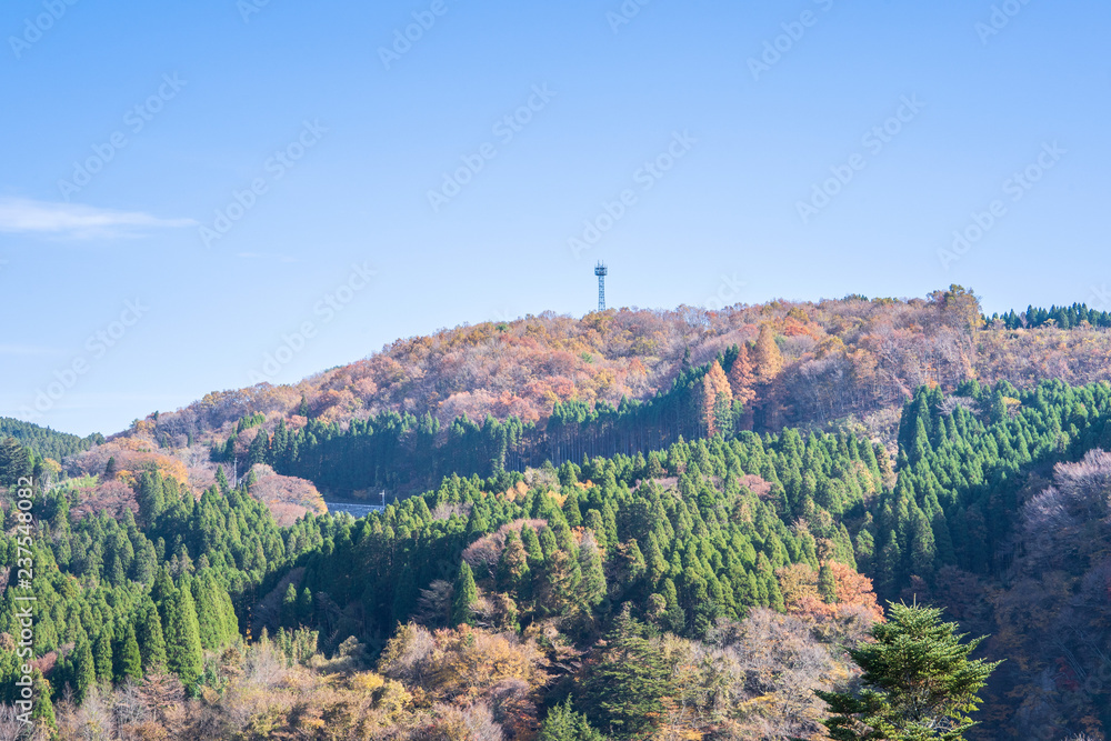 Kuju mountain (Kuju Renzan) around Kokonoe Yume Suspension Bridge (otsurihashi), the most highest su