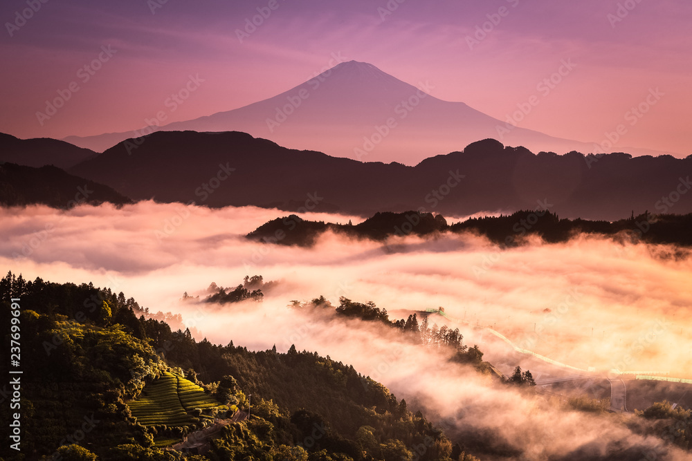 富士山和清晨的薄雾之海