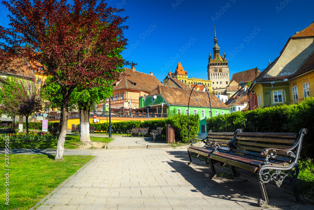 罗马尼亚特兰西瓦尼亚Sighisoara，壮观的中世纪市中心，带观赏公园