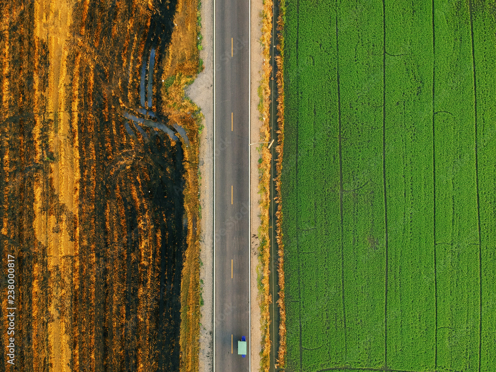 绿地之间道路俯视图