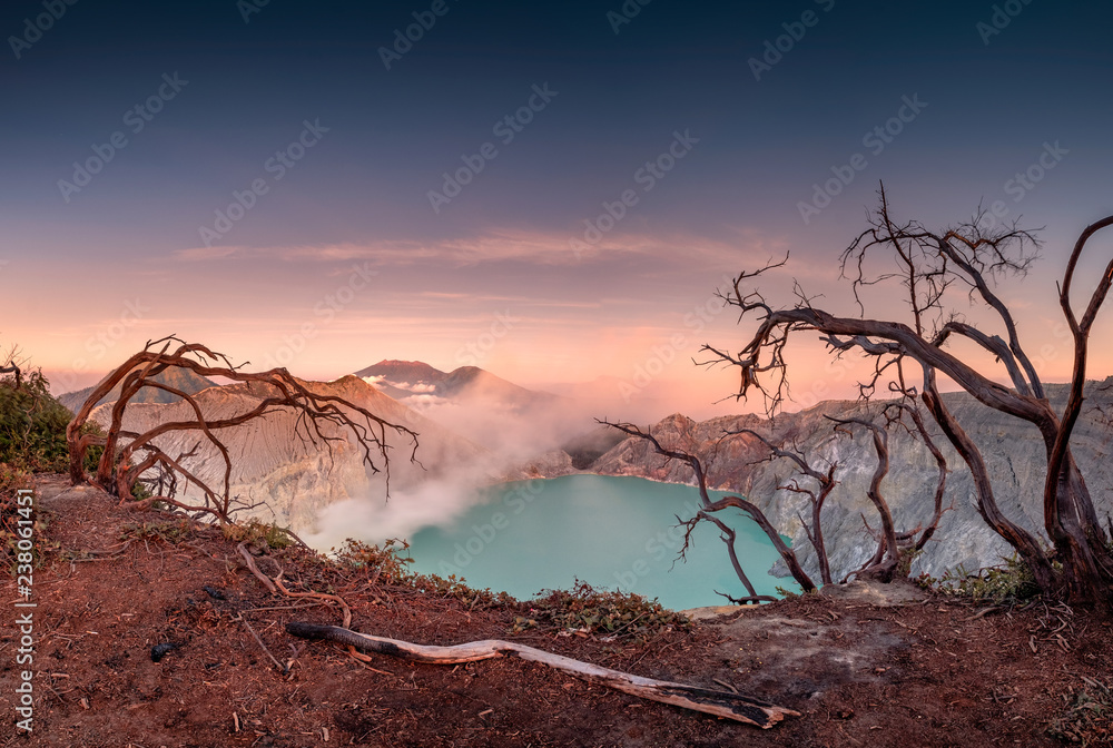 黎明时分，活火山口上的干树和绿松石湖