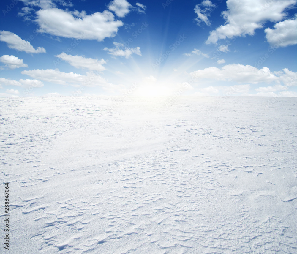 天空和阳光下白雪皑皑的田野。