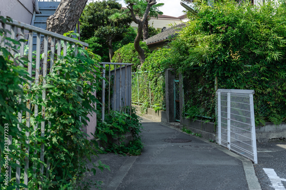 鎌倉の路地