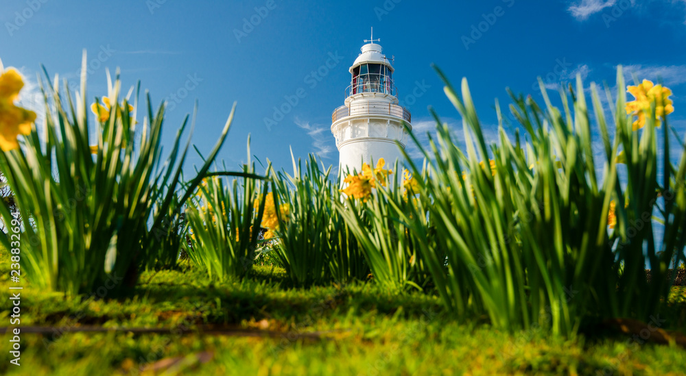 Beautiful Table Cape Lighthouse in Tasmania on a nice summers day.