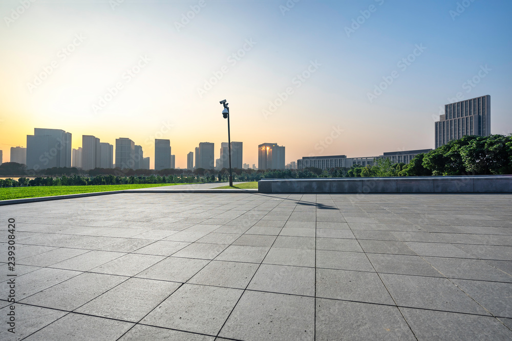 城市天际线全景