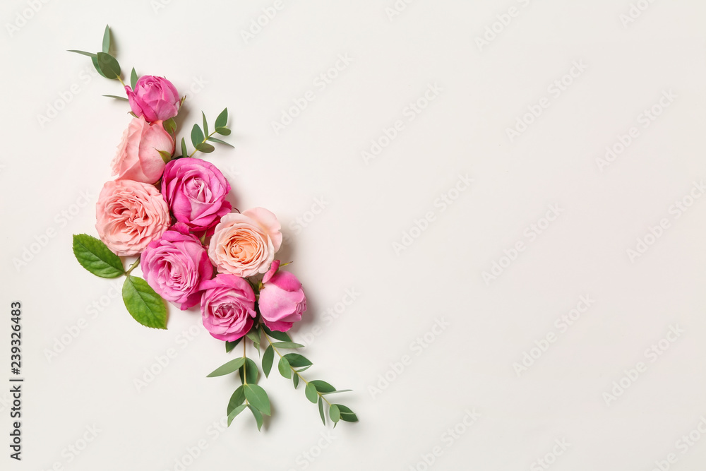 Beautiful pink roses on white background