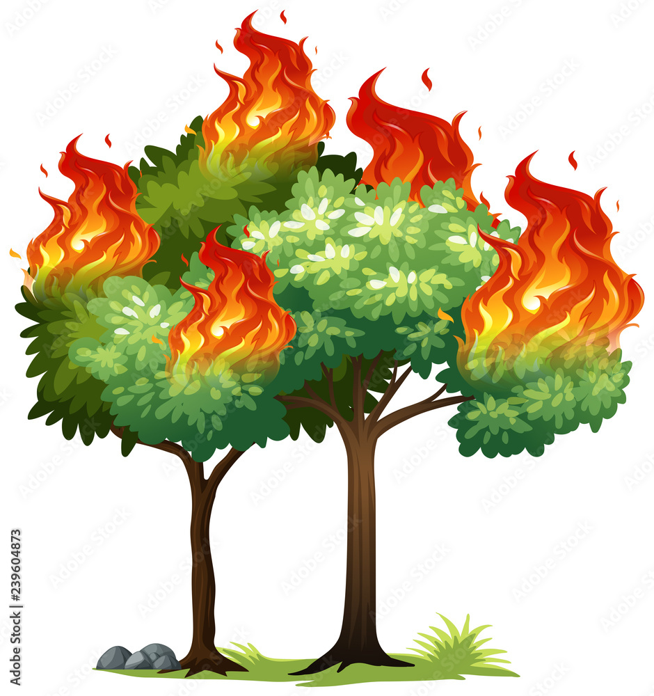 Isolared fire on tree