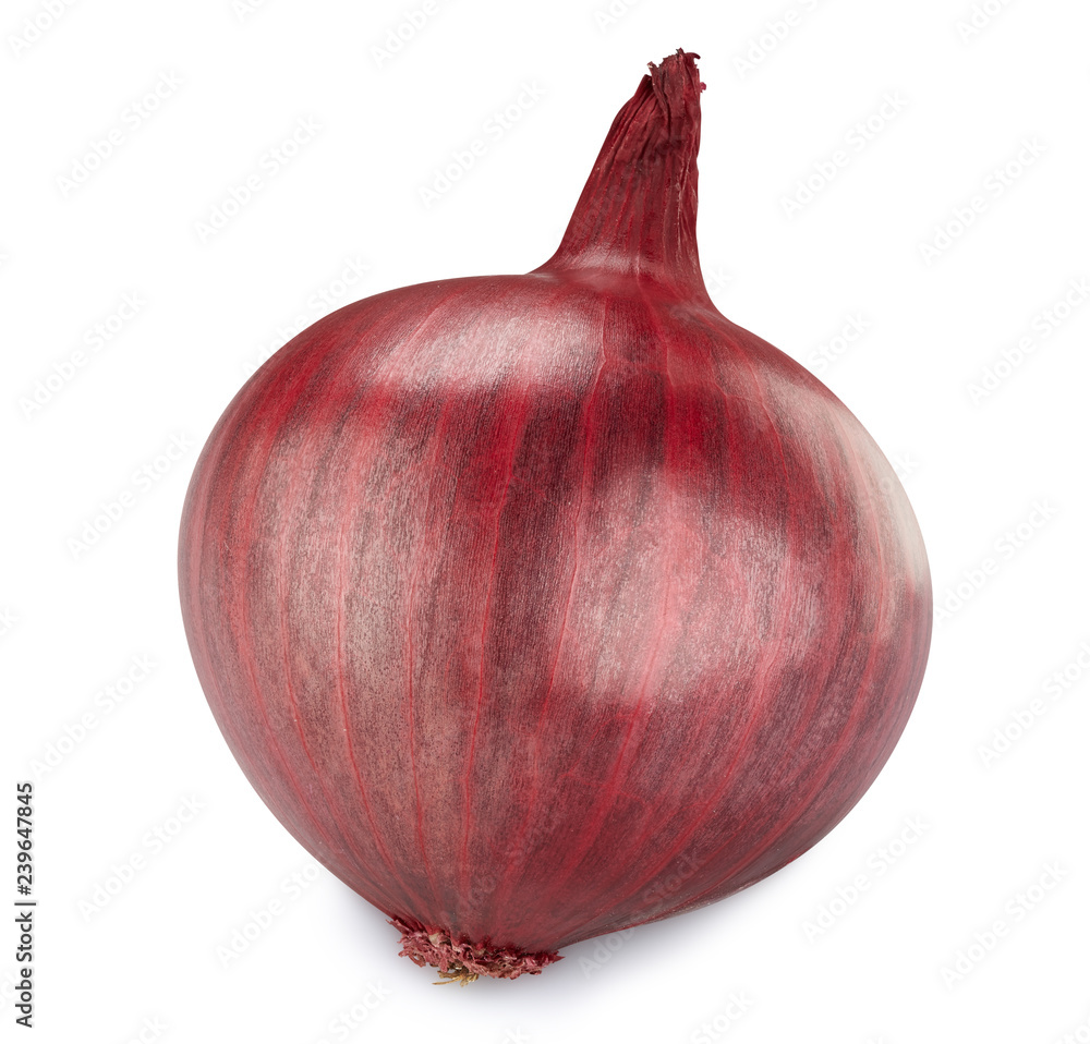 onion Isolated on white