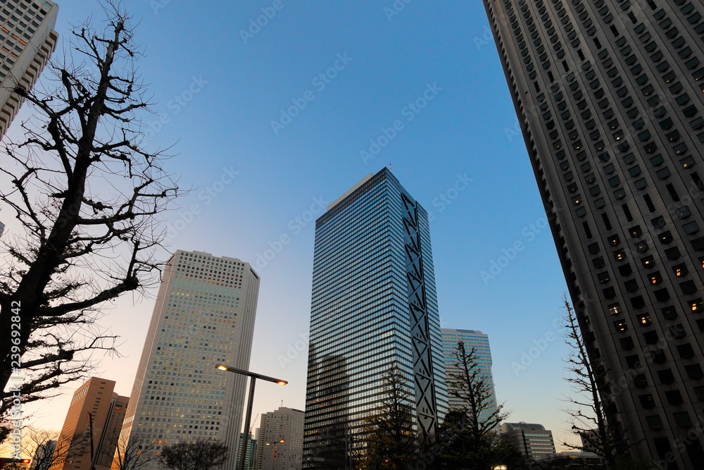 夕暮れの高層ビル群