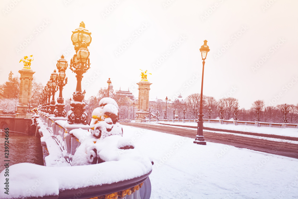 Pont Alexandre III under snow, Paris, France