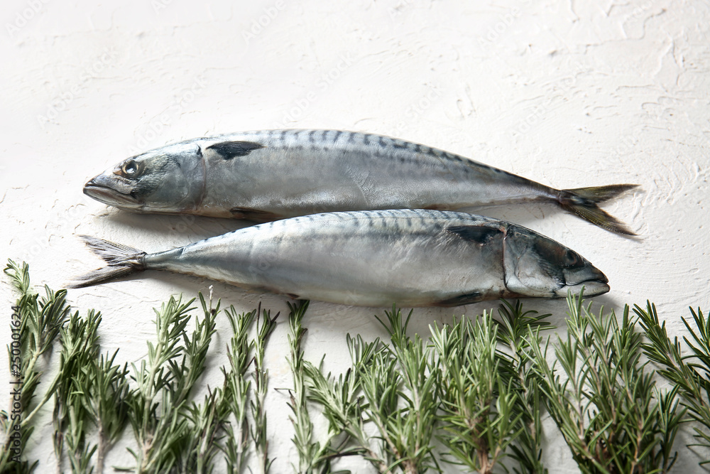 Raw mackerel fish and rosemary on white table