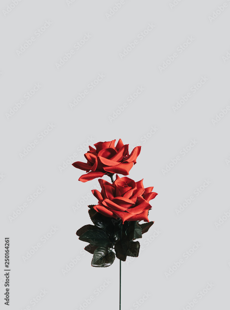 Artificial red roses