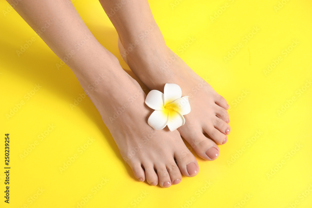 Legs of young woman with beautiful pedicure on color background