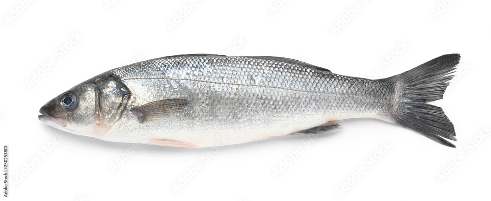 Tasty fresh seabass fish on white background