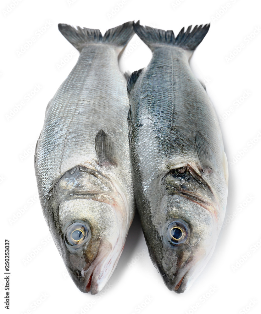 Tasty fresh seabass fish on white background