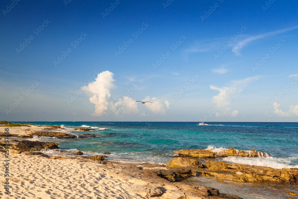 Beautiful Caribbean Sea beach in Playa del Carmen, Mexico