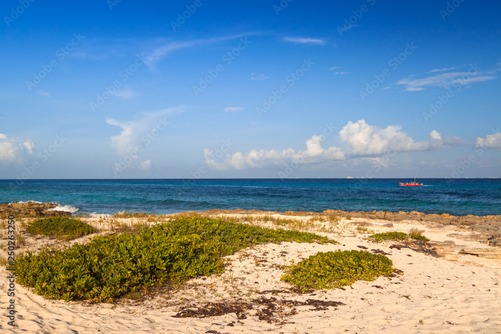 墨西哥卡门海滩美丽的加勒比海海滩