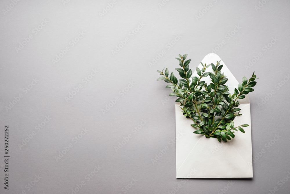 Paper envelope with green branches on light background