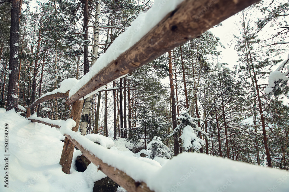 Wooden fence in winter forest