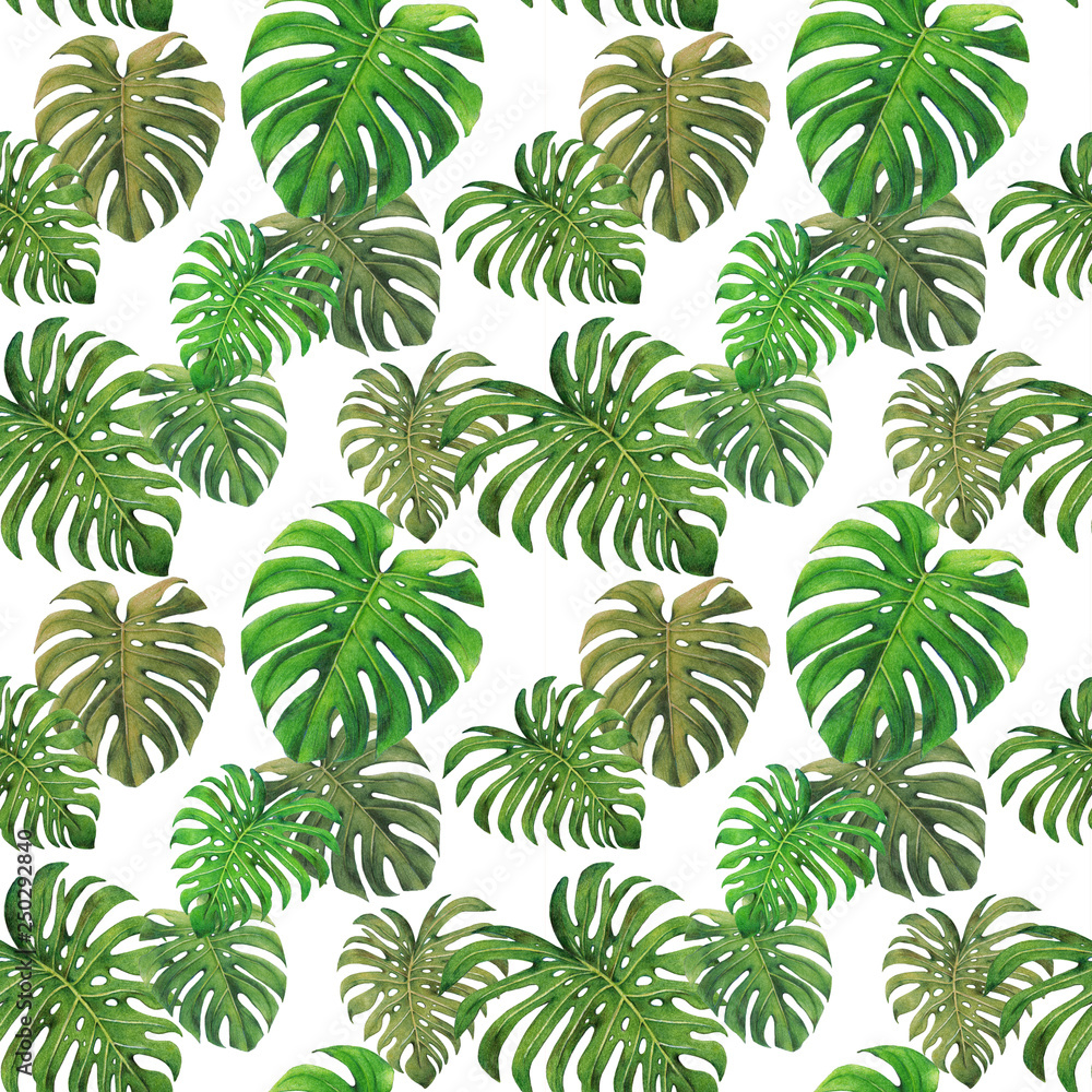 Monstera leaf seamless pattern,colored pencil drawing techniques,illustration